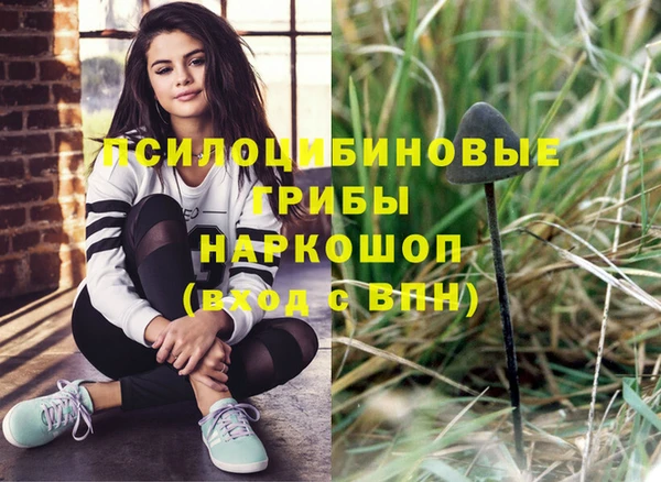 кристаллы Покачи